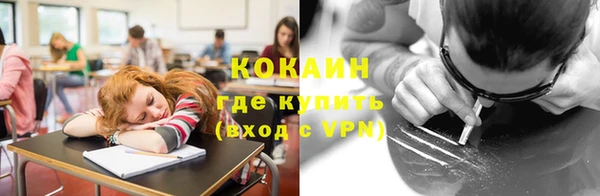 прущие грибы Абинск