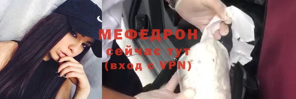индика Абаза