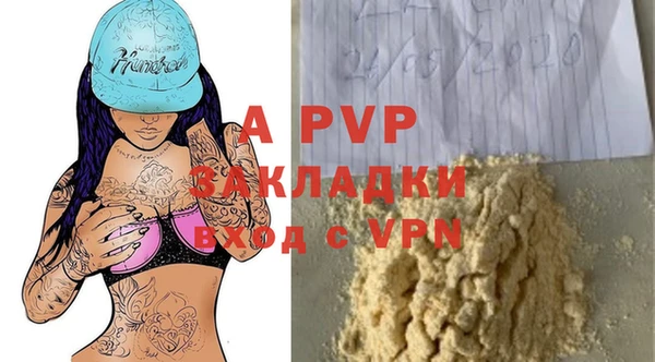 индика Абаза