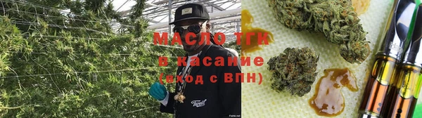 индика Абаза