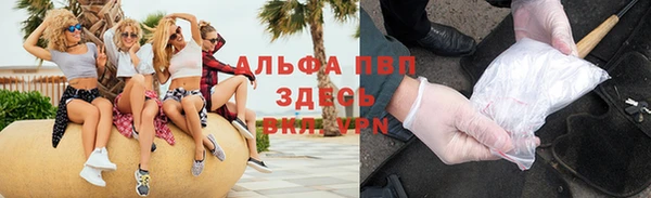 прущие грибы Абинск