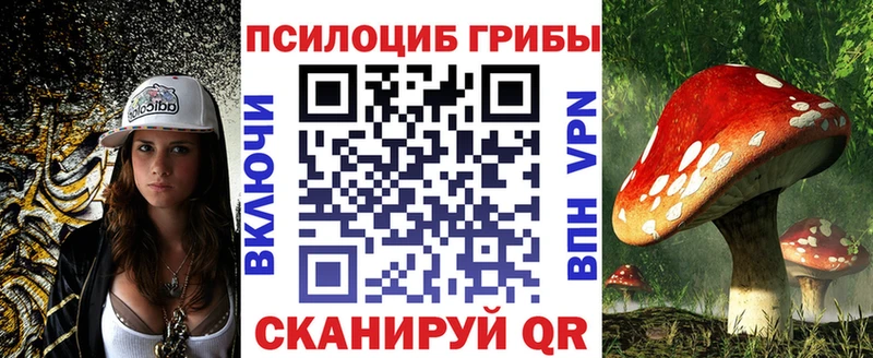 Галлюциногенные грибы Psilocybine cubensis  Татарск 